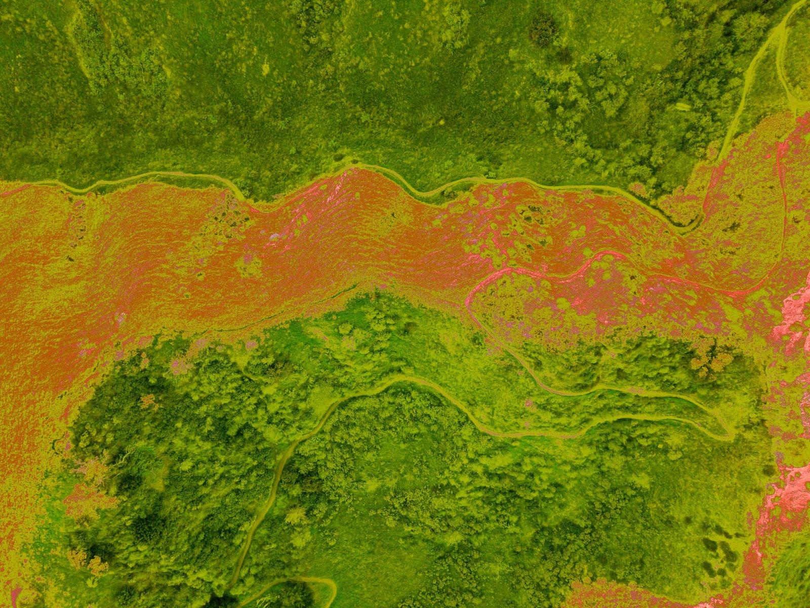 Thermal Imaging: Heat & Moisture Detection