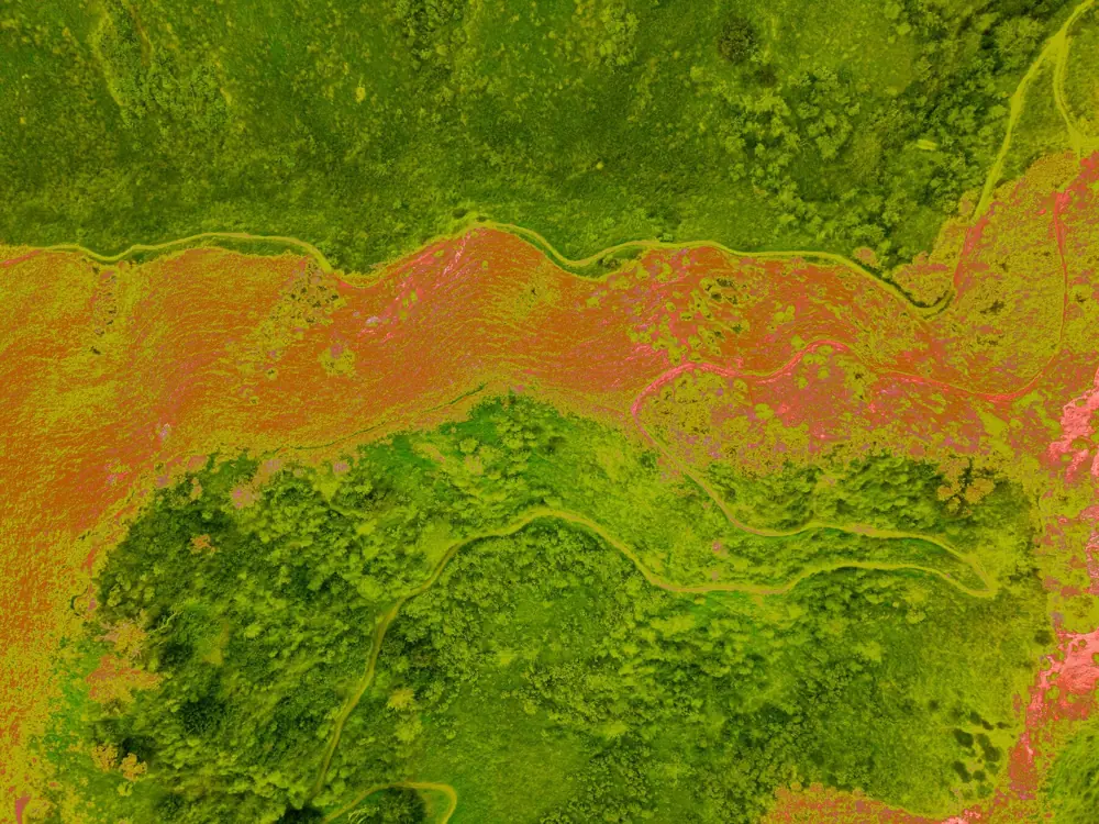 Thermal Imaging: Heat & Moisture Detection